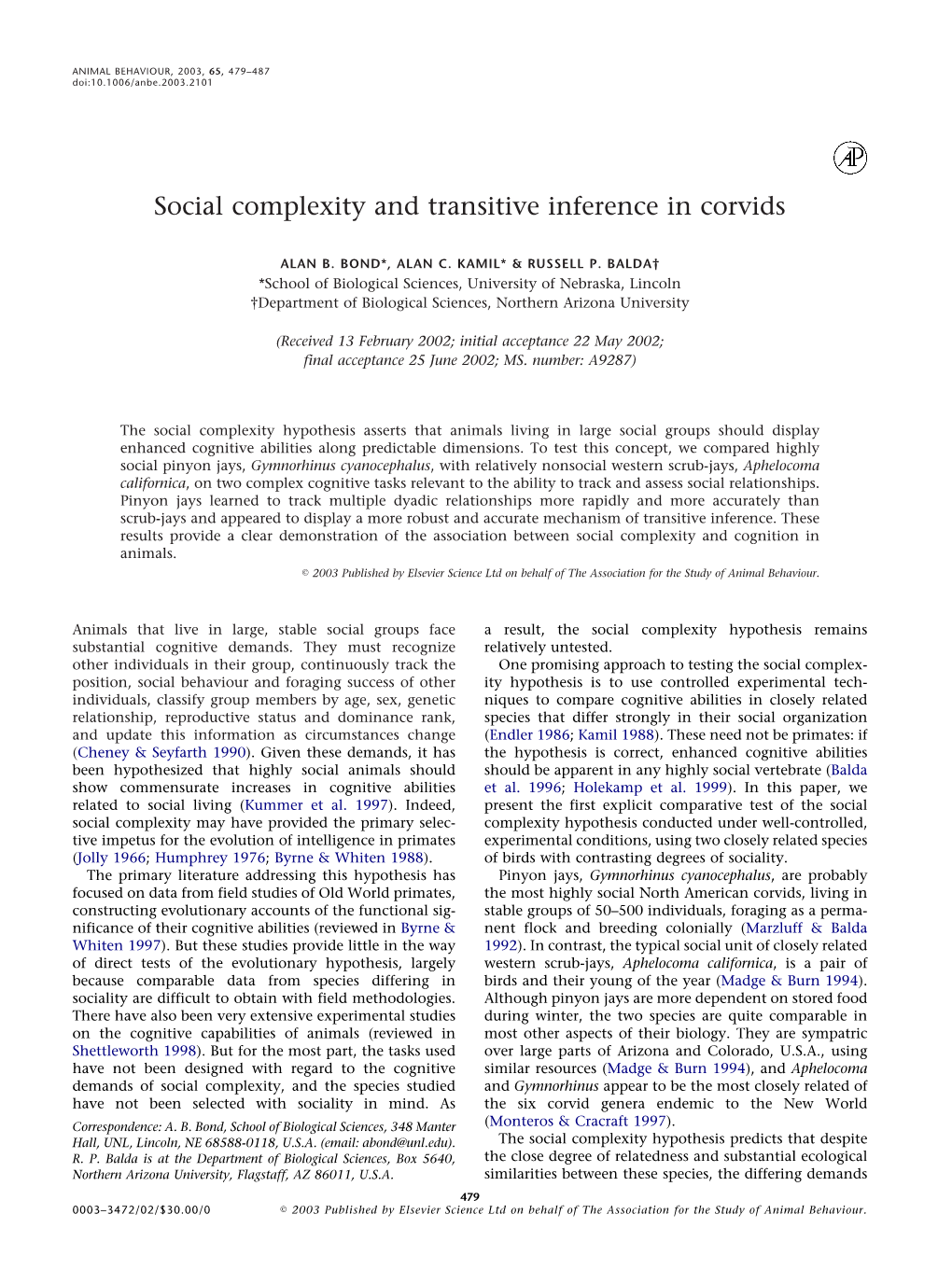 Social Complexity and Transitive Inference in Corvids