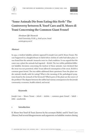 The Controversy Between R. Yosef Caro and R. Moses Di Trani Concerning the Common Giant Fennel