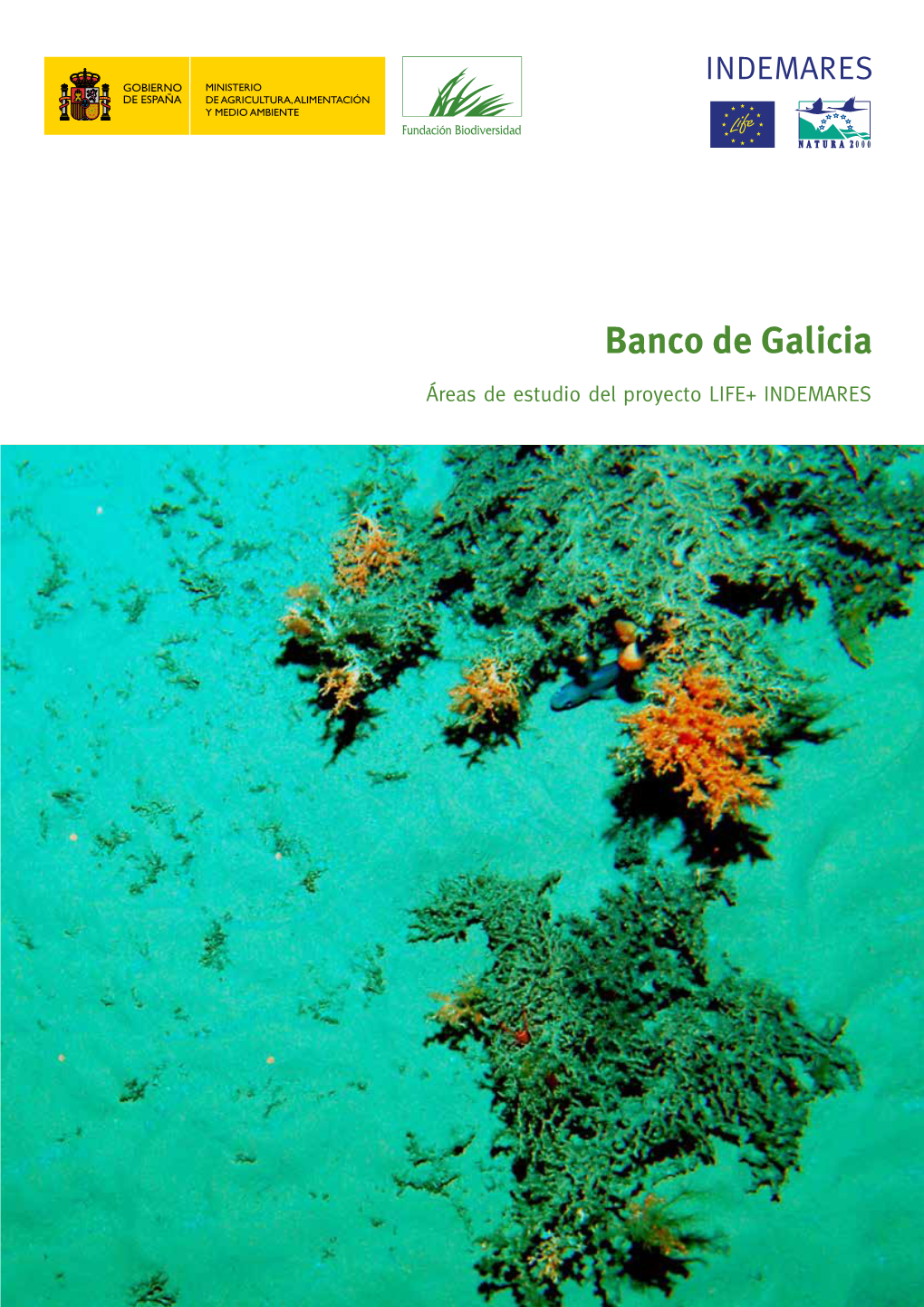 Banco De Galicia.Pdf