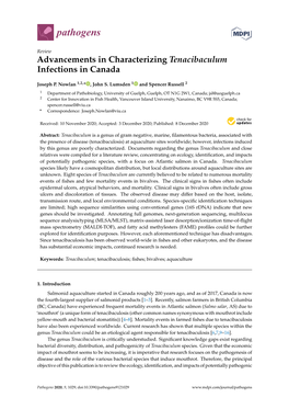 Advancements in Characterizing Tenacibaculum Infections in Canada