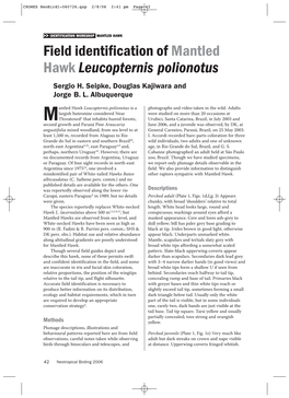 Field Identification of Mantled Hawk Leucopternis Polionotus Sergio H