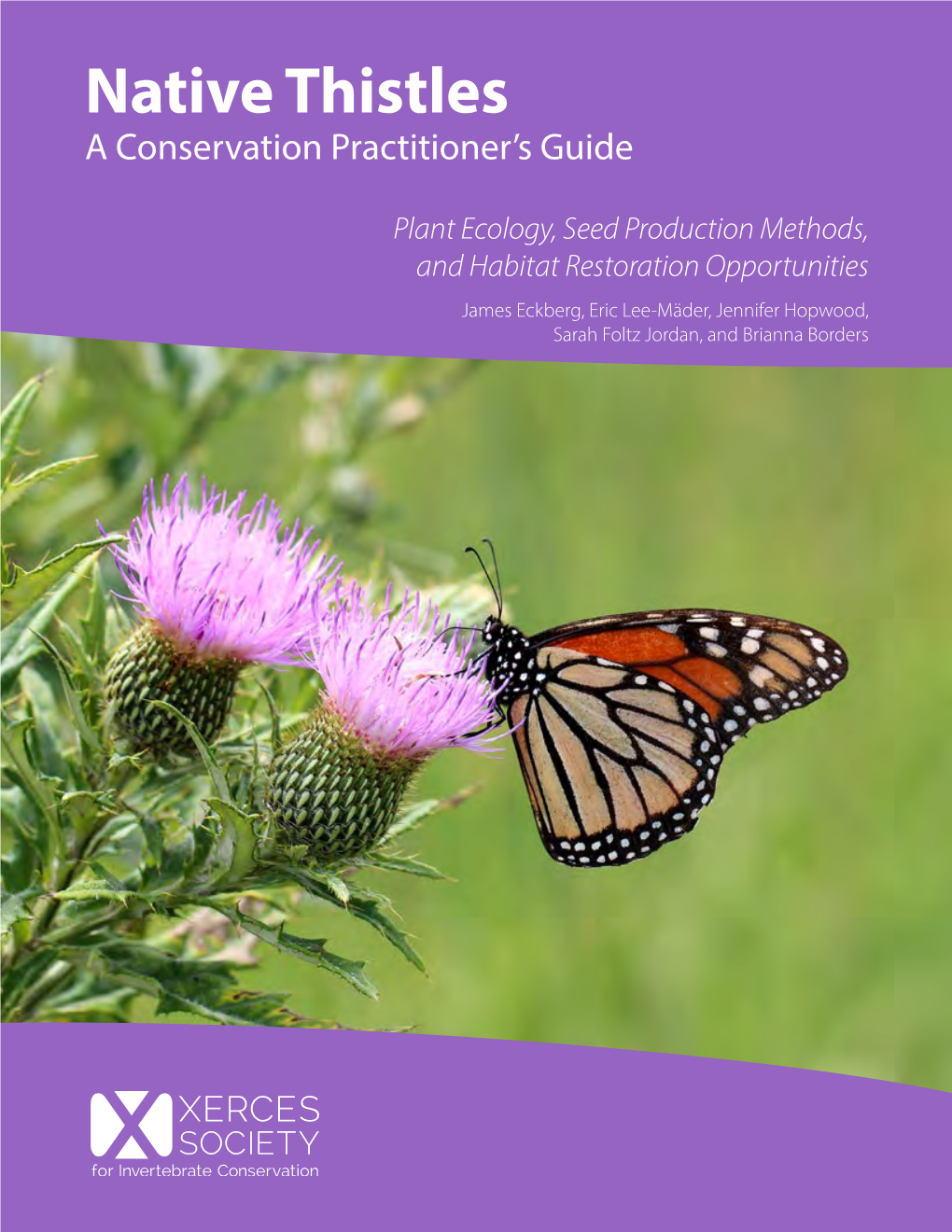 Native Thistles a Conservation Practitioner’S Guide