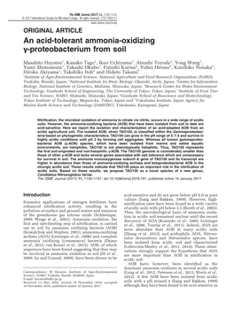 An Acid-Tolerant Ammonia-Oxidizing &Gamma