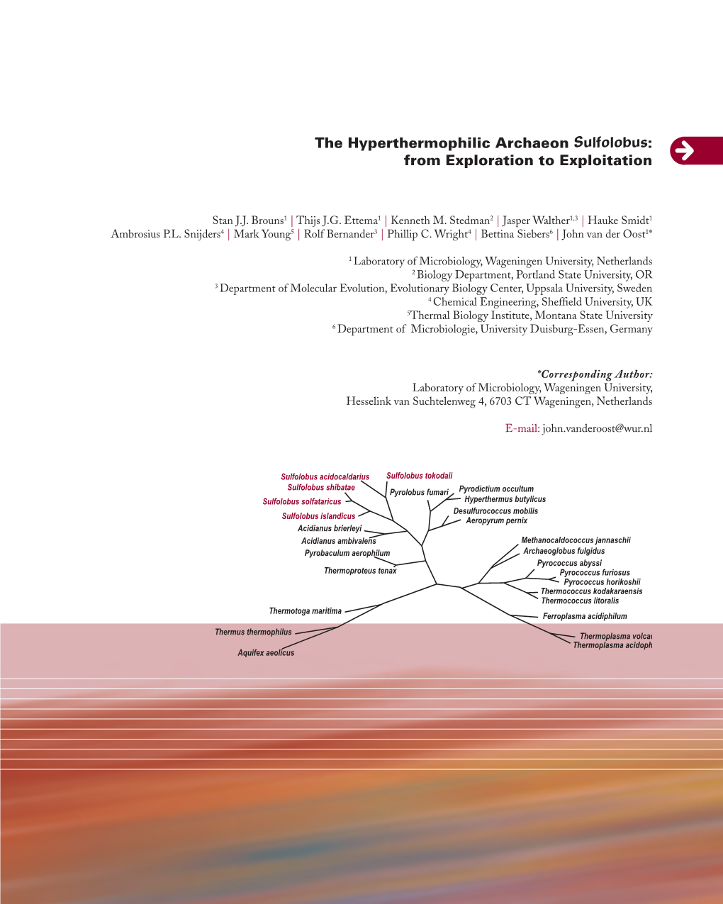 The Hyperthermophilic Archaeon Sulfolobus: from Exploration to Exploitation