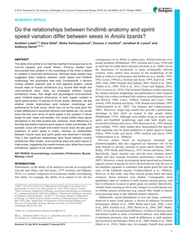 Do the Relationships Between Hindlimb Anatomy and Sprint Speed