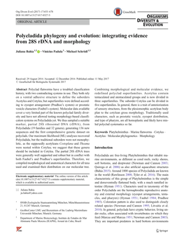 Polycladida Phylogeny and Evolution: Integrating Evidence from 28S Rdna and Morphology