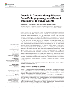 Anemia in Chronic Kidney Disease: from Pathophysiology and Current Treatments, to Future Agents