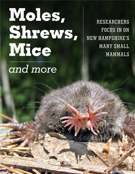 Moles, Shrews, Mice, and More