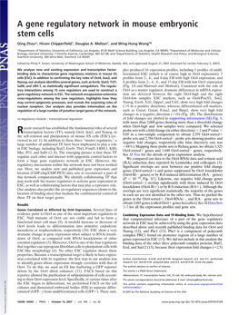 A Gene Regulatory Network in Mouse Embryonic Stem Cells