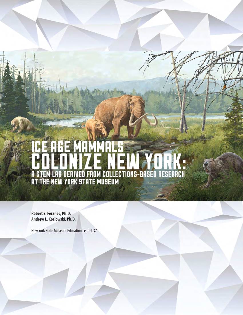 ICE AGE MAMMALS COLONIZE NEW YORK: a STEM Lab Derived from Collections-Based Research at the New York State Museum