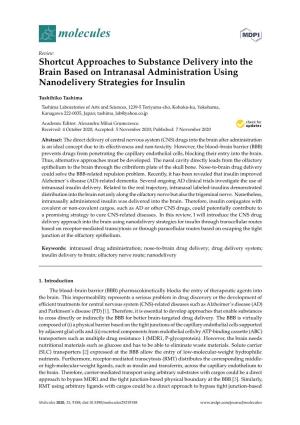 Shortcut Approaches to Substance Delivery Into the Brain Based on Intranasal Administration Using Nanodelivery Strategies for Insulin