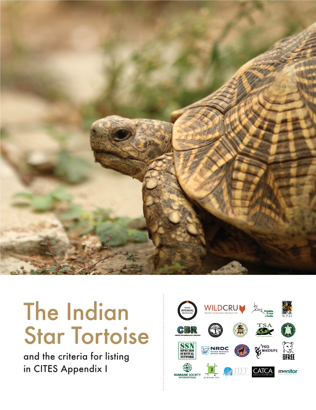 The Indian Star Tortoise and the Criteria for Listing in CITES Appendix I 2 Executive Summary