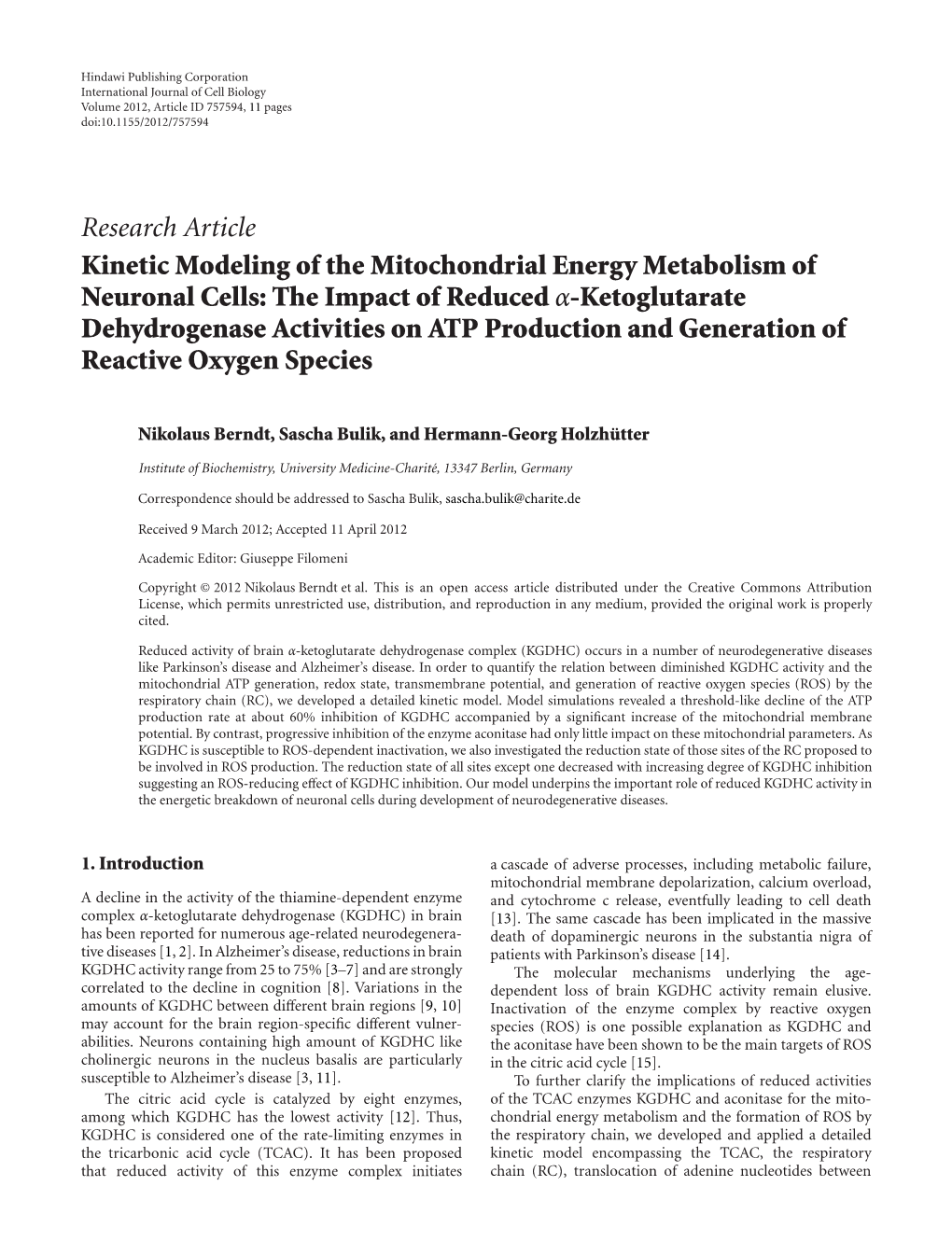 Kinetic Modeling of the Mitochondrial Energy Metabolism of Neuronal