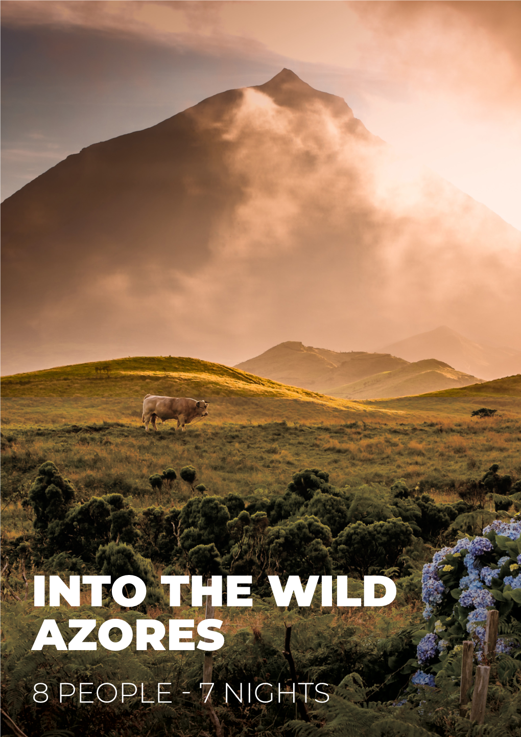 Into the Wild Azores 8 People - 7 Nights Table of Contents • Package Overview 1 • Your Accomodation 3 • Inclusions 5 • Terms & Conditions 7 Package Overview
