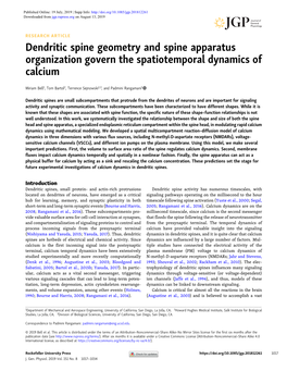 Dendritic Spine Geometry and Spine Apparatus Organization Govern the Spatiotemporal Dynamics of Calcium