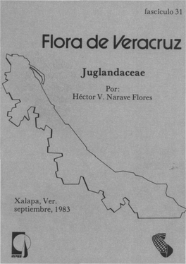 Juglandaceae Por: Héctor V