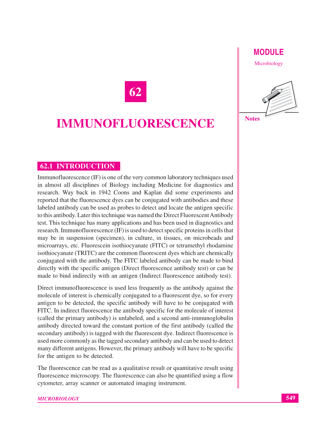 62 Immunofluorescence