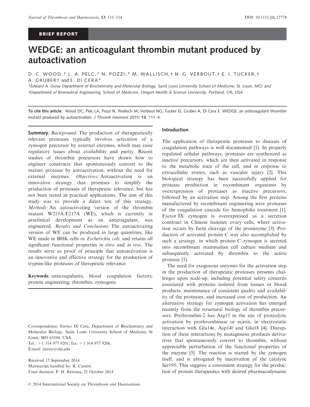 An Anticoagulant Thrombin Mutant Produced by Autoactivation