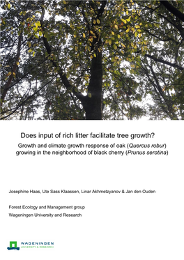 Does Input of Rich Litter Facilitate Tree Growth?