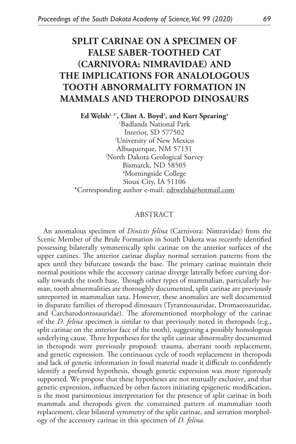 Carnivora: Nimravidae) and the Implications for Analologous Tooth Abnormality Formation in Mammals and Theropod Dinosaurs