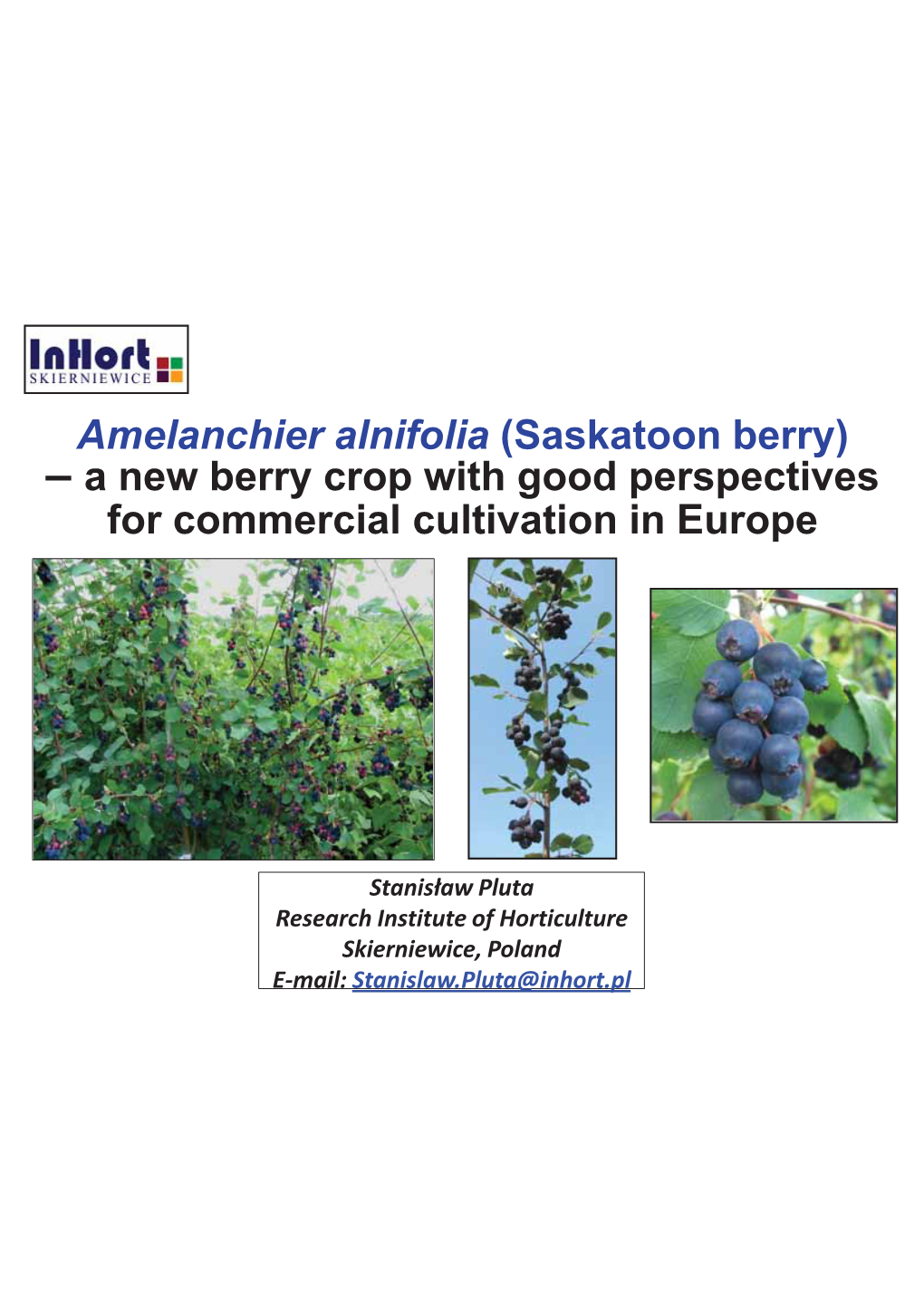 Amelanchier Alnifolia (Saskatoon Berry) – a New Berry Crop with Good Perspectives for Commercial Cultivation in Europe