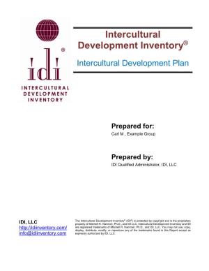 Sample IDI Intercultural Development Plan (IDP)