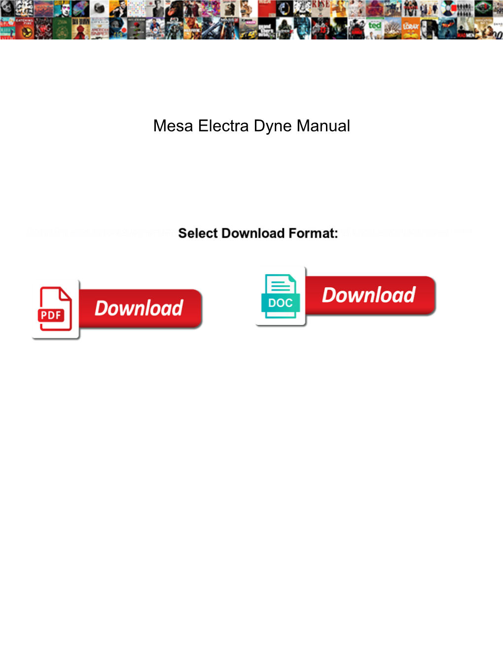 Mesa Electra Dyne Manual