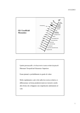 Gli Uccelli Del Mesozoico