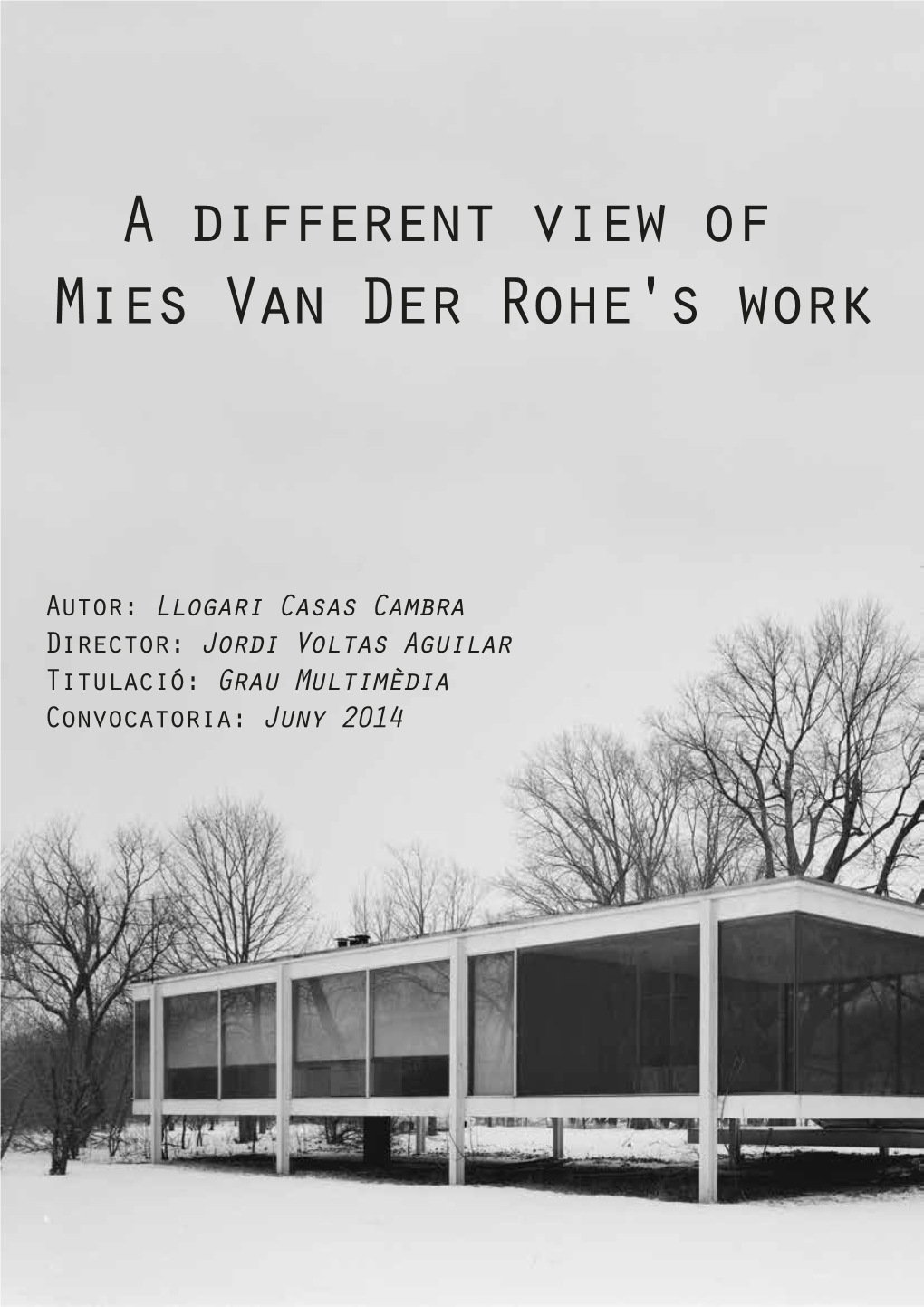 A Different View of Mies Van Der Rohe's Work