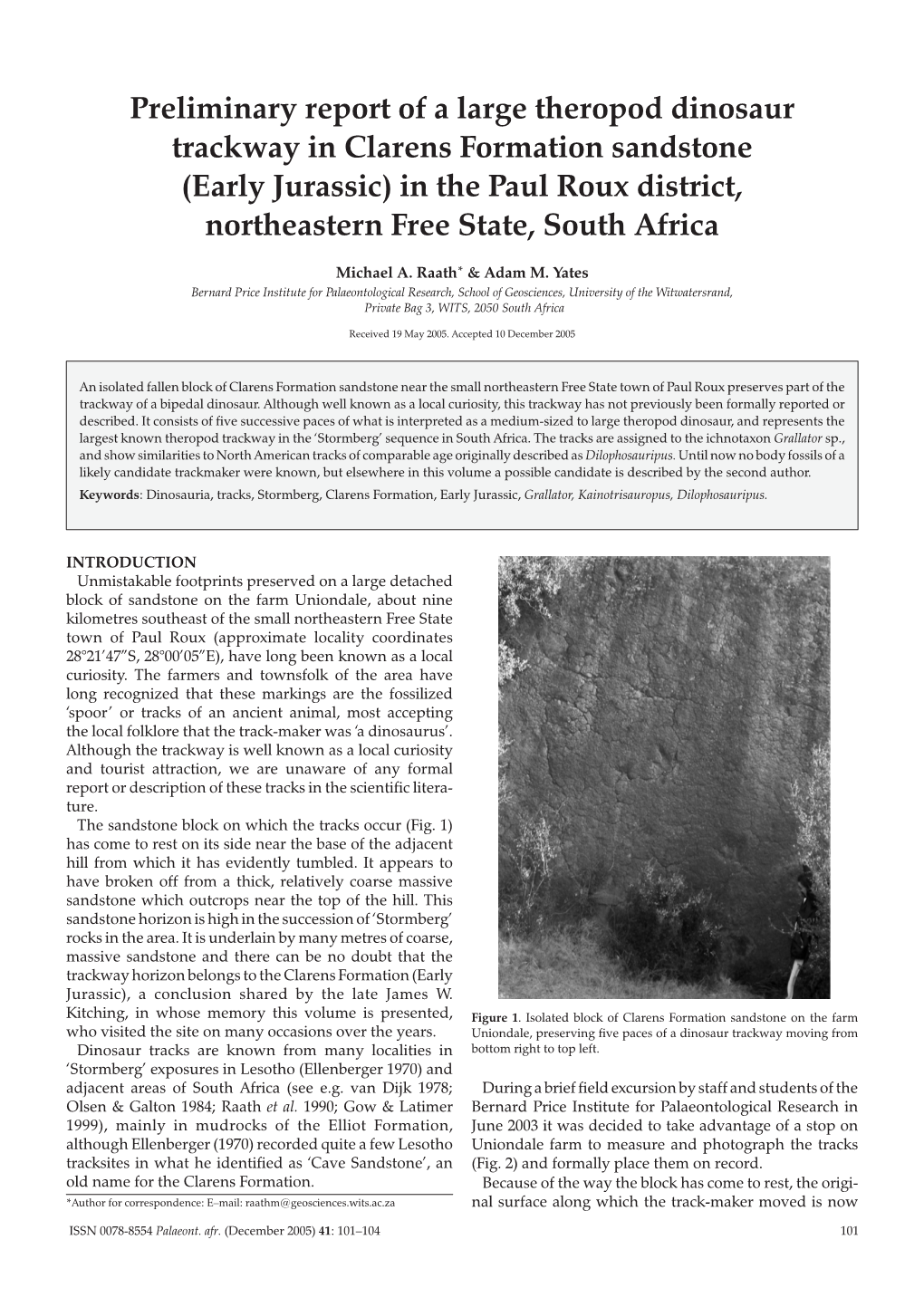 Preliminary Report of a Large Theropod Dinosaur Trackway in Clarens