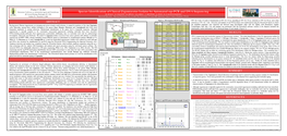 Species Identification of Clinical Zygomycetes Isolates by Automated Rep-PCR and DNA Sequencing Diversilab 44Th General Meeting, Washington DC, USA M