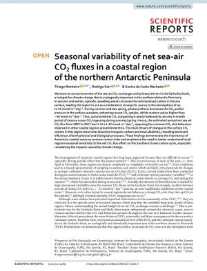 Seasonal Variability of Net Sea-Air CO2 Fluxes in a Coastal Region of the Northern Antarctic Peninsula
