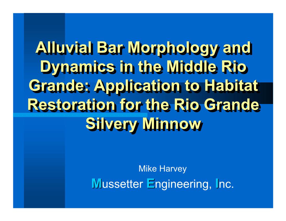 Alluvial Bar Morphology and Dynamics in the Middle Rio Grande