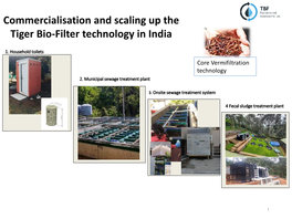 Commercialisation and Scaling up the Tiger Bio-Filter Technology in India