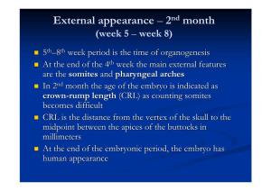 External Appearance – 2 Month
