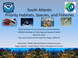 South Atlantic Priority Habitats, Species, and Fisheries