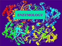 Enzymes BIOCATALYSTS VS