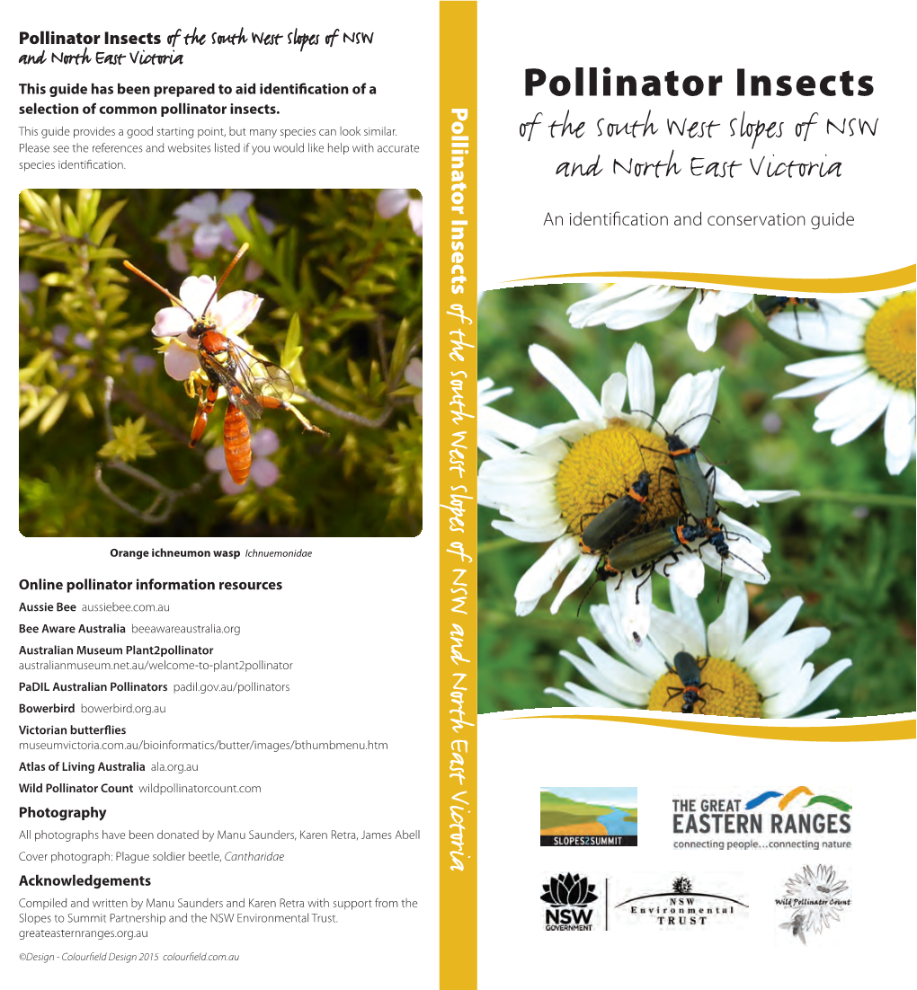 Pollinator Insects