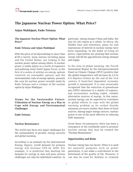 The Japanese Nuclear Power Option: What Price?