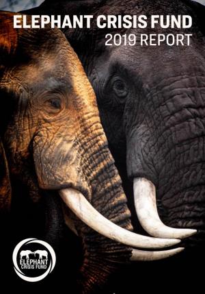 Elephant Crisis Fund 2019 Report 2019 Overview