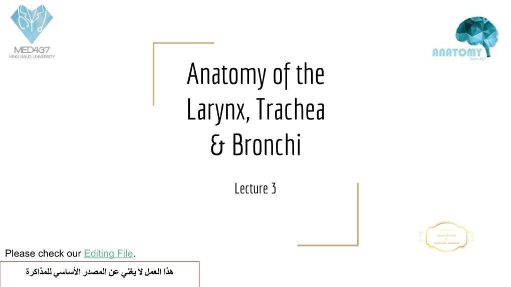 Anatomy of the Larynx, Trachea & Bronchi