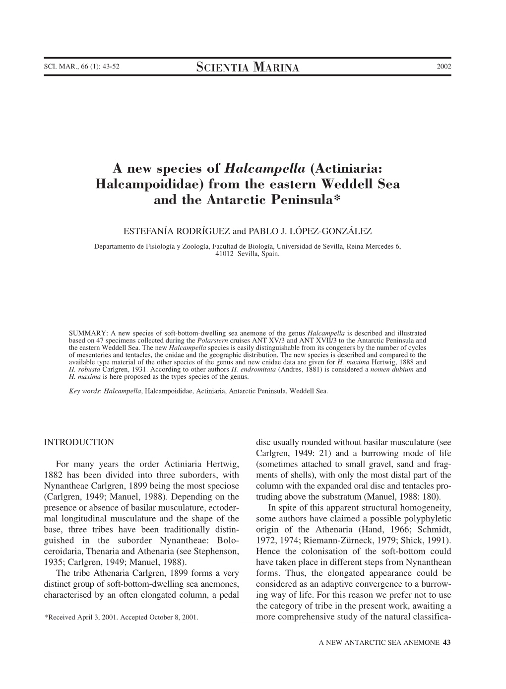 (Actiniaria: Halcampoididae) from the Eastern Weddell Sea and the Antarctic Peninsula*