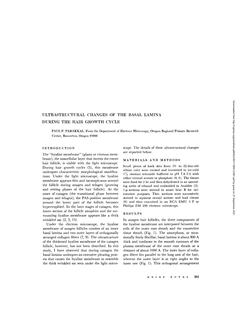 Ultrastructural Changes of the Basal Lamina During the Hair Growth Cycle