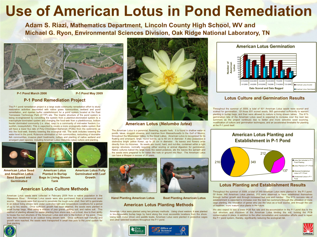 Use of American Lotus in Pond Remediation Adam S