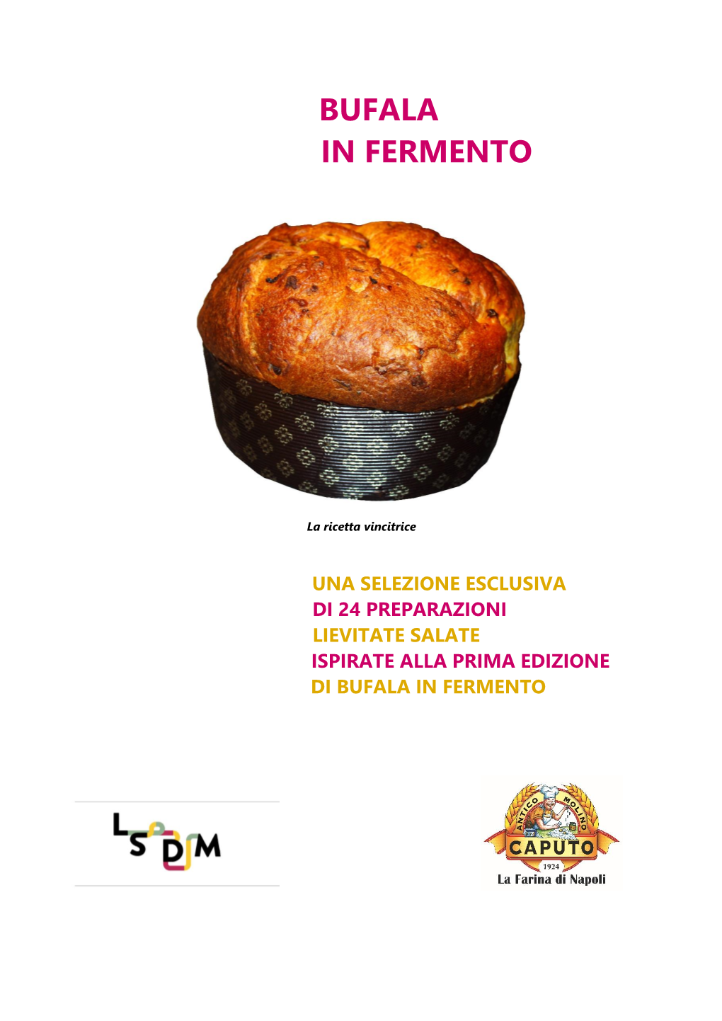 Selezione Ricette Bufala in Fermento 2016