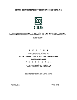 La Identidad Chicana a Través De Las Artes Plásticas, 1965-1990