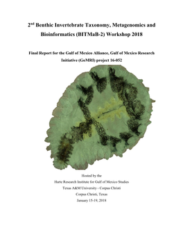 2Nd Benthic Invertebrate Taxonomy, Metagenomics and Bioinformatics (Bitmab-2) Workshop 2018