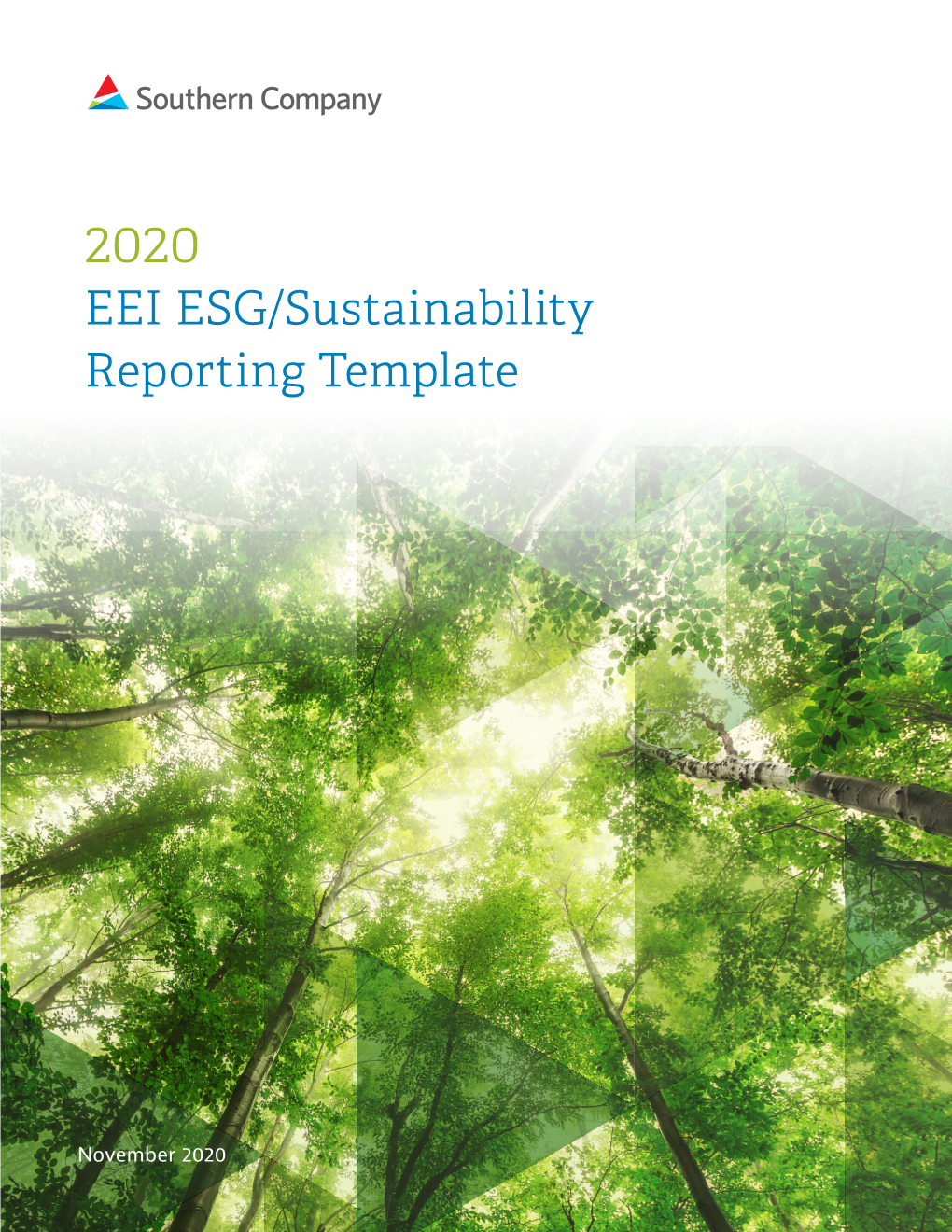 2020 EEI ESG/Sustainability Reporting Template