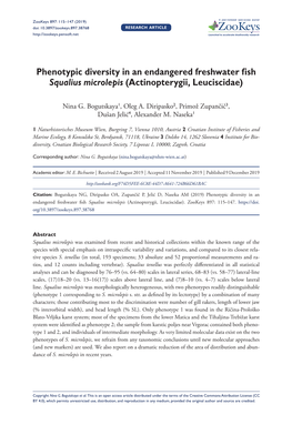 Phenotypic Diversity in an Endangered Freshwater Fish Squalius Microlepis (Actinopterygii, Leuciscidae)