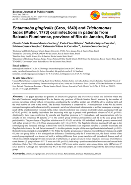 Entamoeba Gingivalis (Gros, 1849) and Trichomonas Tenax (Muller, 1773) Oral Infections in Patients from Baixada Fluminense, Province of Rio De Janeiro, Brazil